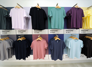 pantone2.jpg