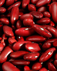 kidney_beansmarehot.jpg