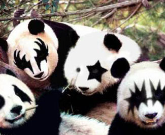 Panda_Kiss_qjgenthhot.jpg