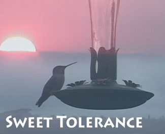 SweetToleranceTitle.jpg