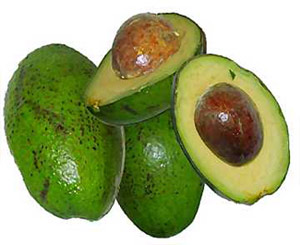 Avocado1.jpg