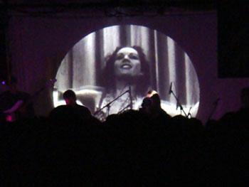 DSC01343.jpg