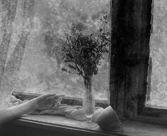 endless_love_in_a_rainy_afternoon.jpg