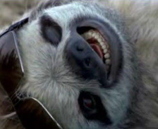 Alfa_Romeo_Sloth.jpg