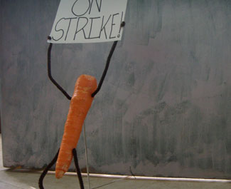 carrots_758927.jpg