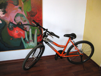 bicla.jpg
