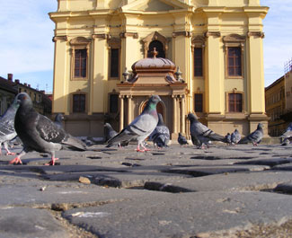 DSCF1072.jpg