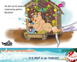 revelion_porc_1.jpg