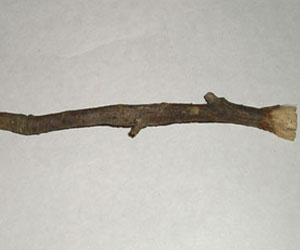 periute_4.jpg