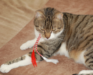 tigrel_martisor.jpg