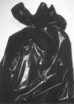 Plastic_bag.jpg