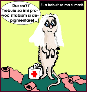 sabina.jpg